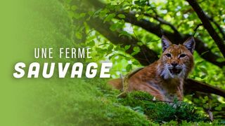 Une ferme sauvage