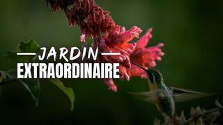 Le jardin extraordinaire