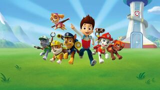 Paw Patrol, la Pat'Patrouille - SAISON 10