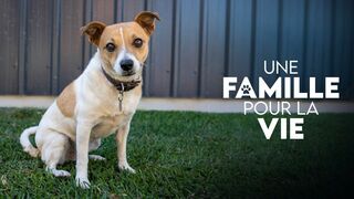 Une famille pour la vie