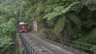 Des trains pas comme les autres