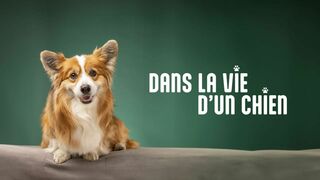 Entre chien et loup