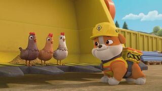 La cabane dans l'arbre / La mangeoire à poulets