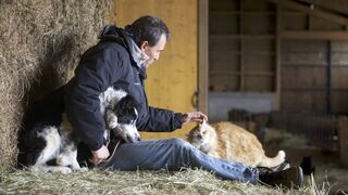 A petits pas