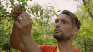 La forêt gourmande