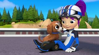 Au secours du chiot