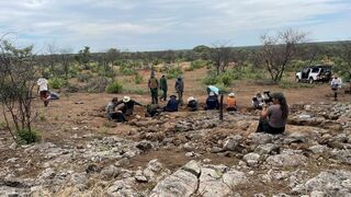 Carnet du Botswana