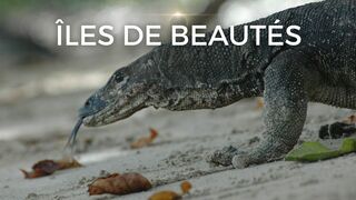 Iles de beautés