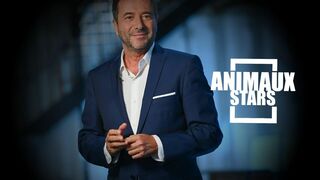 Animaux stars