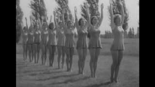 Les Femmes dans le projet nazi