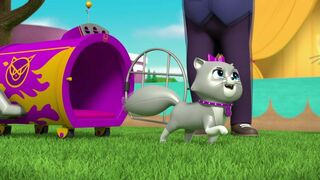 Le bébé Pingouin / Le spectacle des chats
