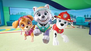 Les chats secouristes / La Pat' Patrouille sauve Oscar