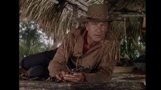 Les aventures du capitaine Wyatt