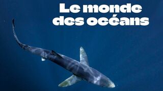 Le monde des océans