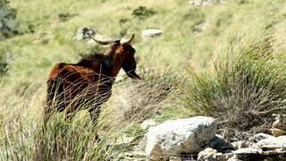 Méditerranée, l'odyssée pour la vie