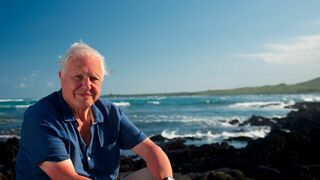 Le tour du monde de David Attenborough