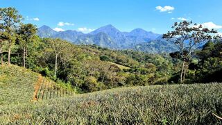Le Honduras entre forêt tropicale et plages