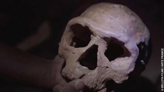 HOMO SAPIENS, les nouvelles origines