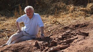 Le tour du monde de David Attenborough