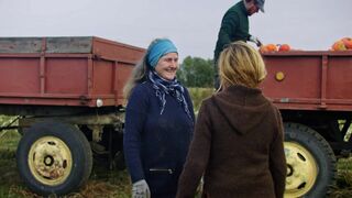 Soeurs de la terre