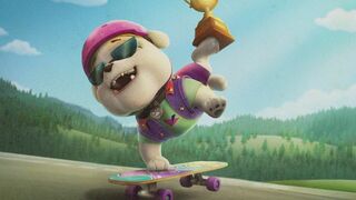 Un skatepark pour Tata Grue