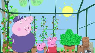 La serre de Papy Pig
