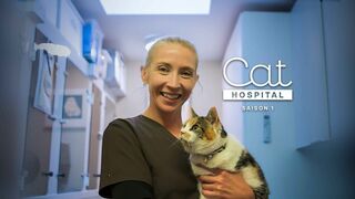 Cat Hospital