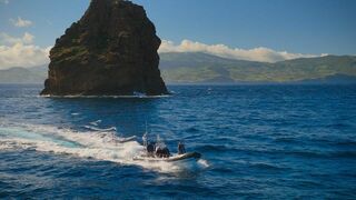 A la rencontre des baleines avec Steve Backshall