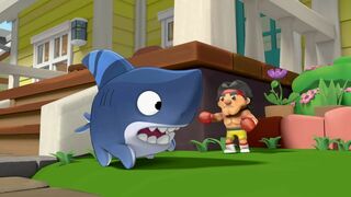 Toukin, le chien-requin - SAISON 2