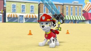 Paw Patrol, la Pat'Patrouille - SAISON 1