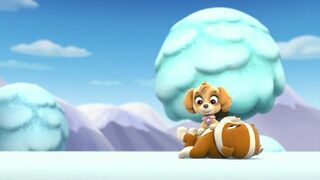 Paw Patrol, la Pat'Patrouille - SAISON 1