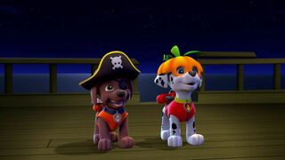 Paw Patrol, la Pat'Patrouille - SAISON 1