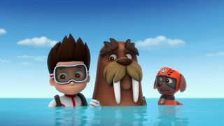 Paw Patrol, la Pat'Patrouille - SAISON 1
