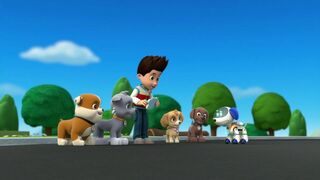 Paw Patrol, la Pat'Patrouille - SAISON 1