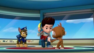 Paw Patrol, la Pat'Patrouille - SAISON 1