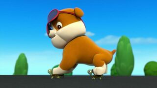 Paw Patrol, la Pat'Patrouille - SAISON 1