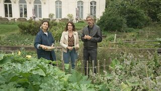 En Terre ferme