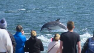 A la rencontre des baleines avec Steve Backshall