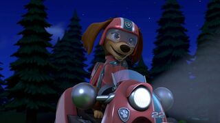 Paw Patrol, la Pat'Patrouille - SAISON 9