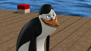 Le pingouin qui m'aimait