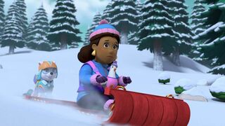 Paw Patrol, la Pat'Patrouille - SAISON 9