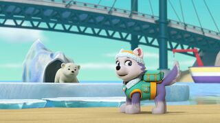 Paw Patrol, la Pat'Patrouille - SAISON 10