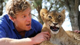 A Kangaroo Takes Out Dr. Chris