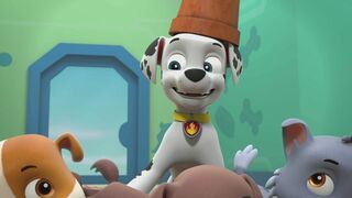 Paw Patrol, la Pat'Patrouille - SAISON 10
