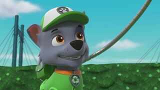 Paw Patrol, la Pat'Patrouille - SAISON 10