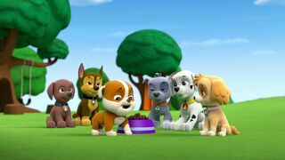 Paw Patrol, la Pat'Patrouille - SAISON 1