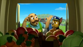 Paw Patrol, la Pat'Patrouille - SAISON 1