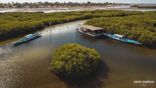 Sénégal, un delta pour la vie