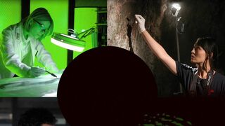 Les spécialistes : investigation scientifique - SAISON 2