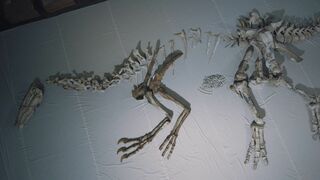 Au temps des dinosaures